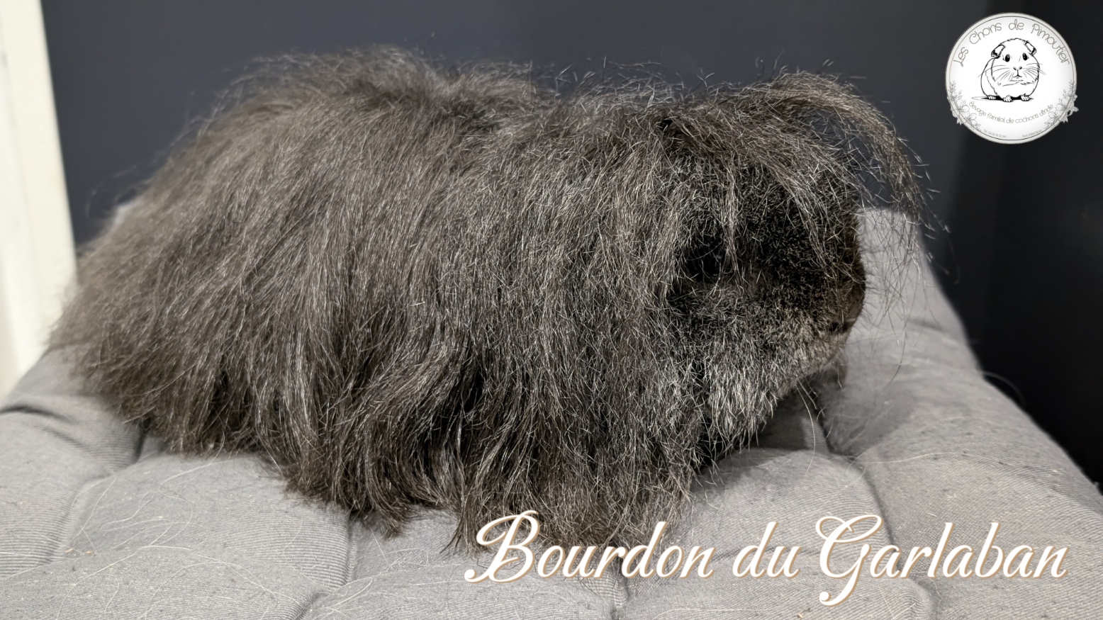 Photo de Bourdon du Garlaban