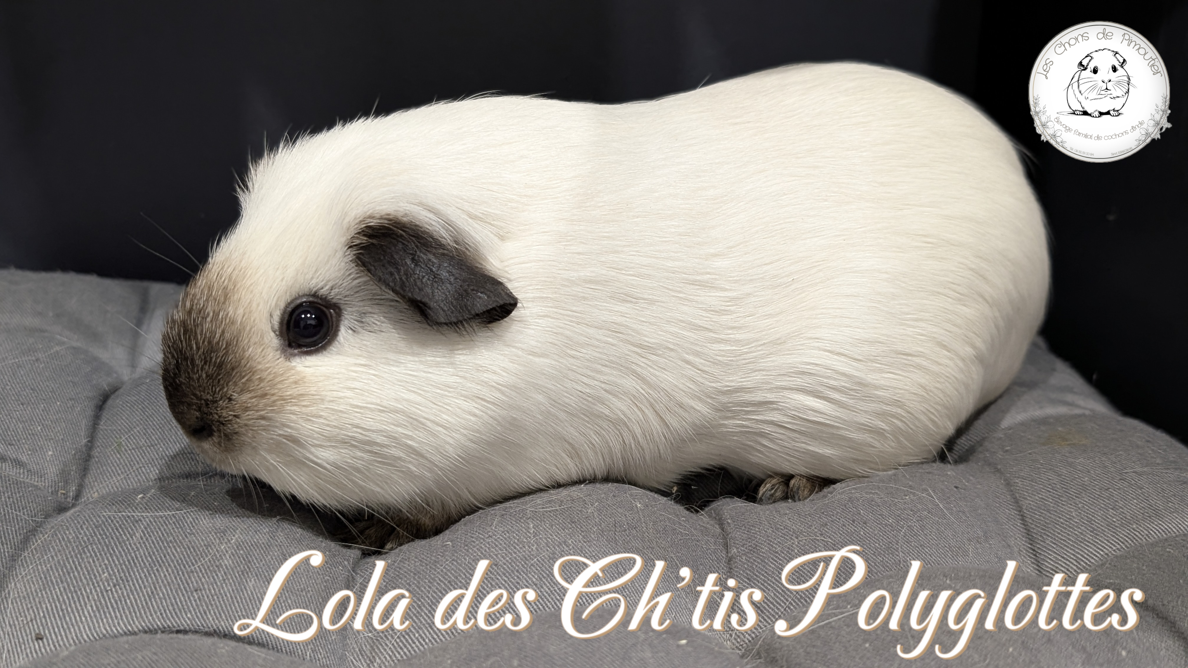 Photo de Lola des Chtis Polyglottes