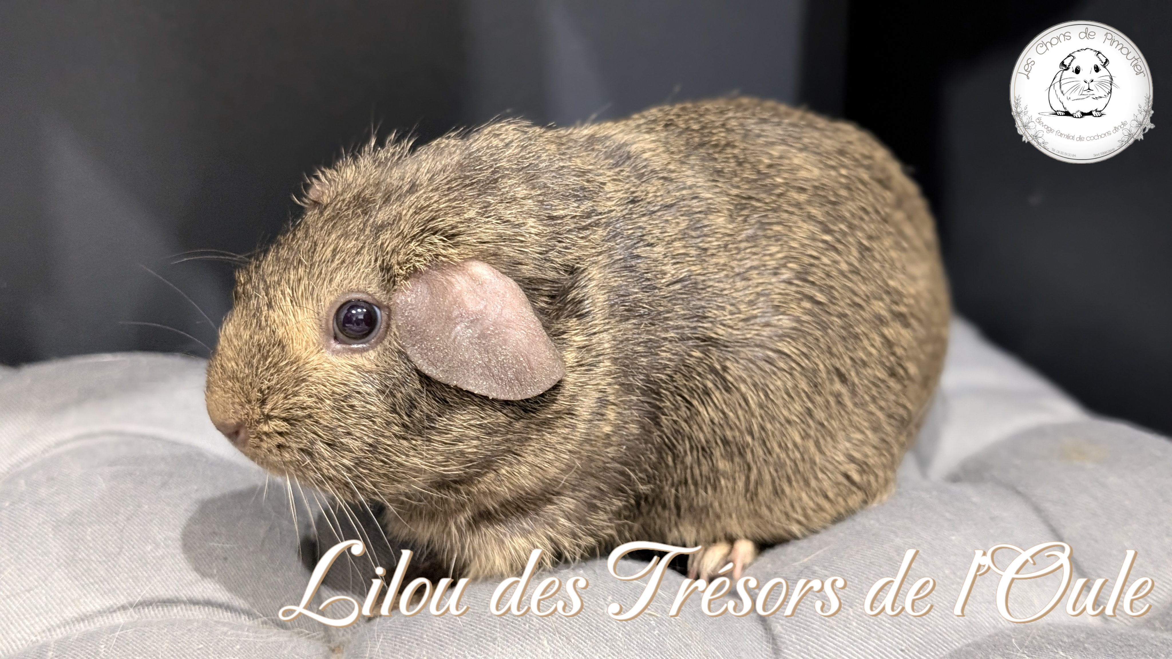 Photo de Lilou des Trésors de l'Oule