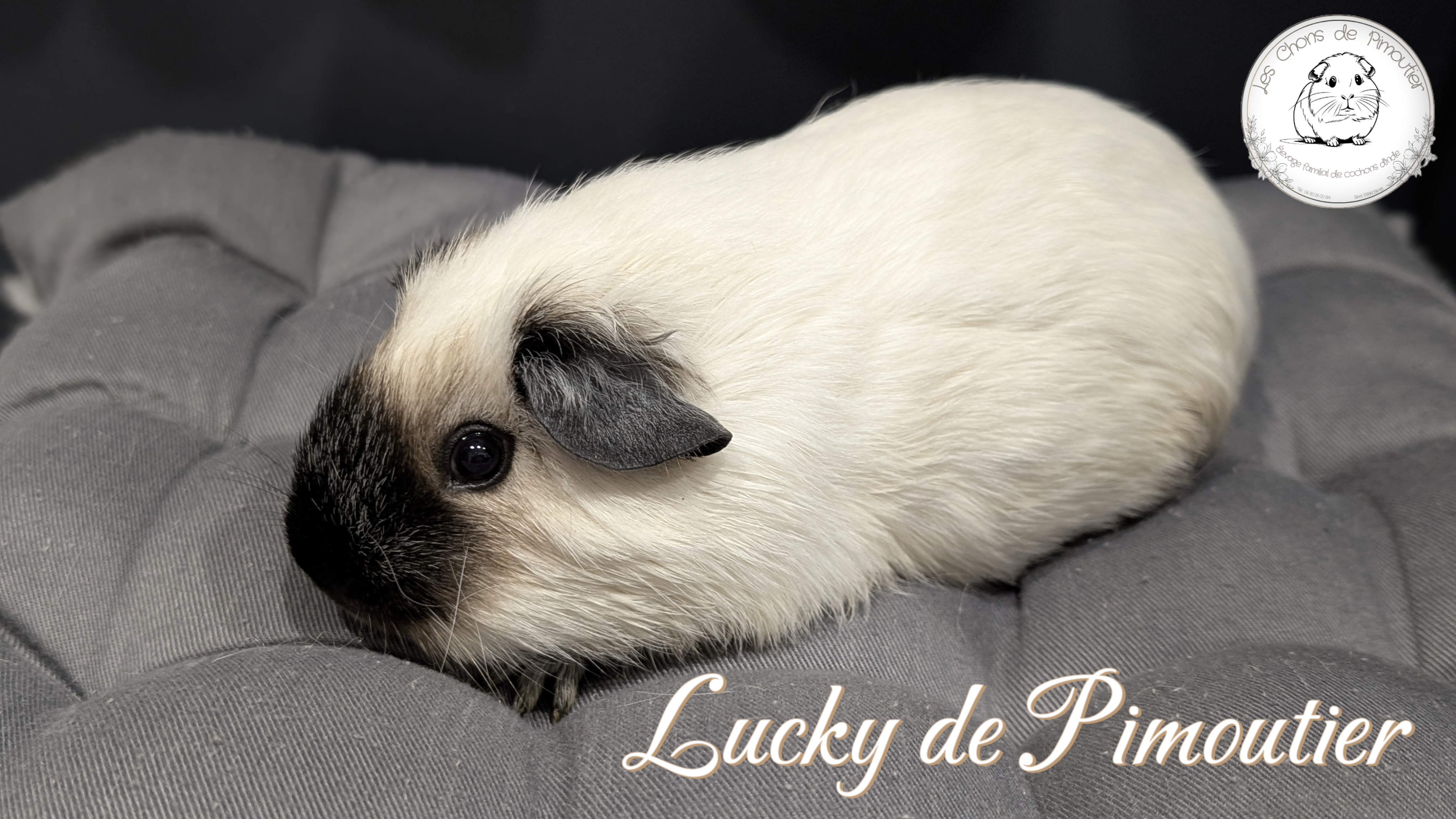 Lucky de Pimoutier